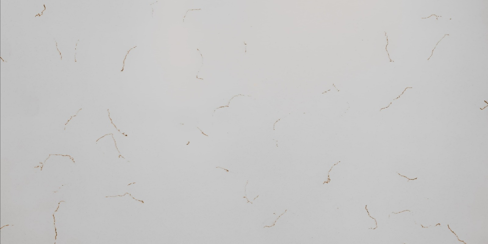 Carrara Gold slab sample